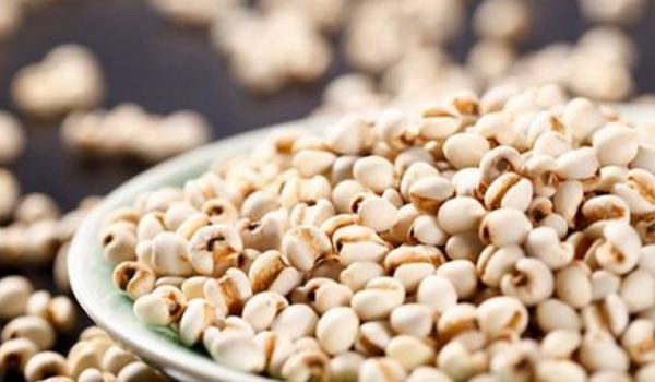 薏米的功效与作用及禁忌 薏米的营养价值