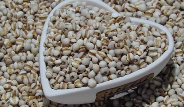 薏米的功效与作用及禁忌 薏米的营养价值