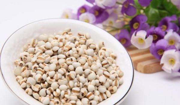 薏米的功效与作用及禁忌 薏米的营养价值