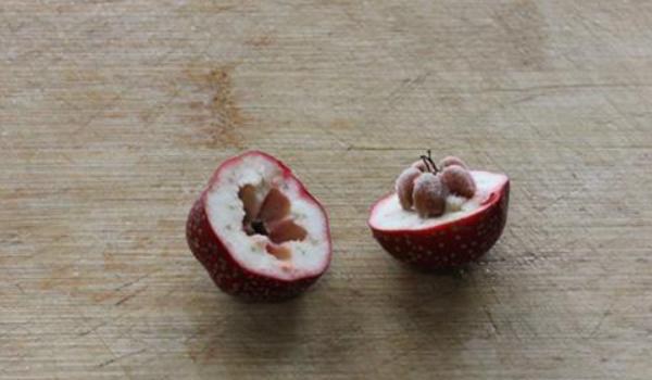 山楂籽的功效与作用