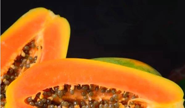 木瓜奶冻的做法大全