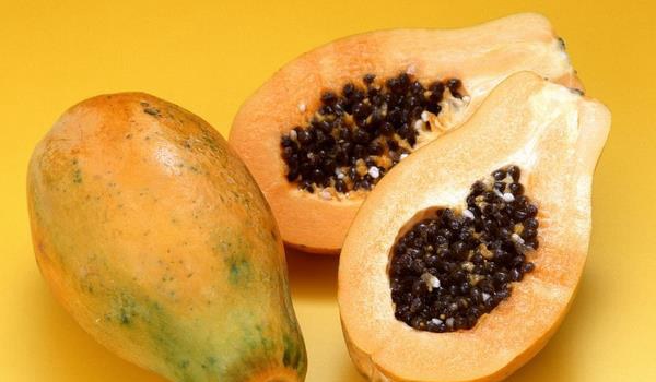 木瓜奶冻的做法大全