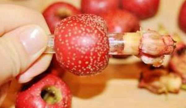 山楂籽的功效与作用