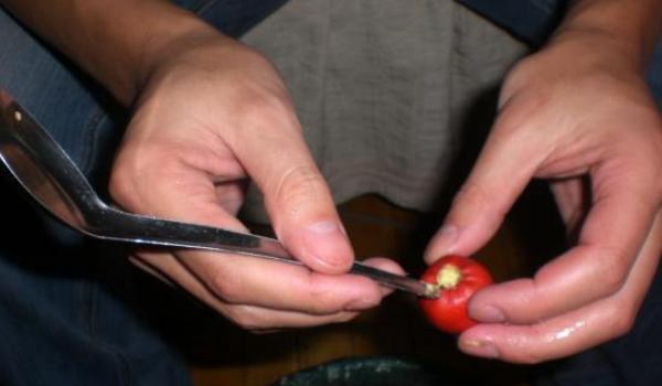 山楂籽的功效与作用