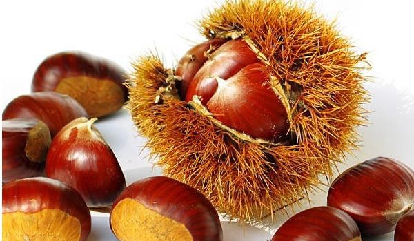 板栗种子是什么？种子外有一层硬刺 里面是我们常吃的板栗