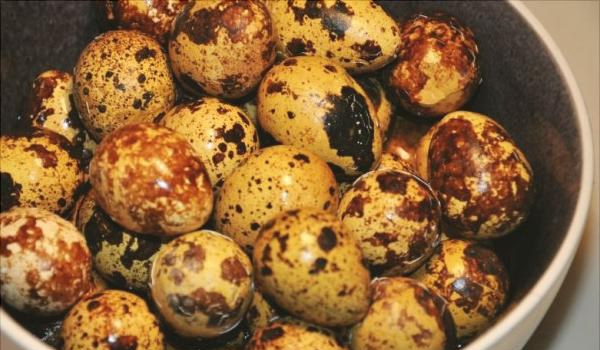 鹌鹑蛋汤的做法及营养功效