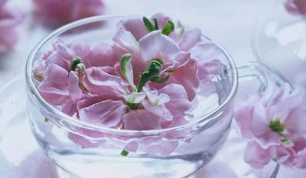 桃花茶功效与作用及禁忌 桃花茶能减肥吗?