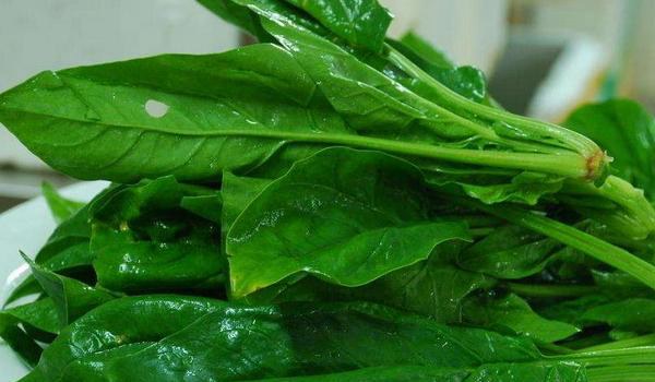 菠菜汤的做法大全 家常菠菜鸡蛋汤怎么做？