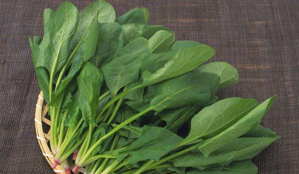 菠菜汤的做法大全 家常菠菜鸡蛋汤怎么做？