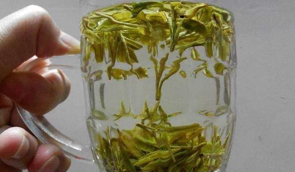 龙井茶的功效与作用及禁忌 喝龙井茶有什么好处