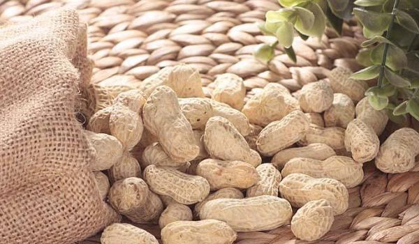 花生什么时候浇水最好 花生盛花期是什么时候