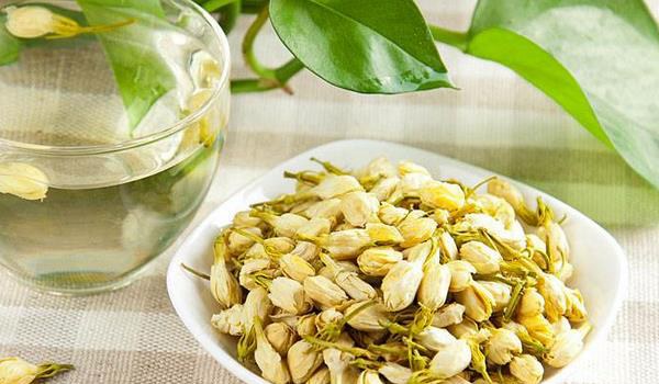 茉莉花茶的功效与作用及禁忌 茉莉花茶的泡法