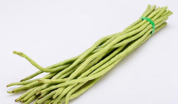 豇豆图片大全 豇豆是什么豆