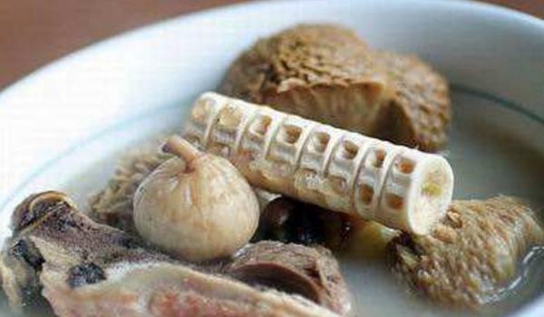 鲨鱼骨的功效与作用及禁忌 鲨鱼骨怎么吃