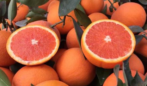 红肉脐橙和血橙区别？