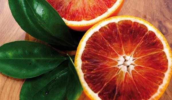 红肉脐橙和血橙区别？