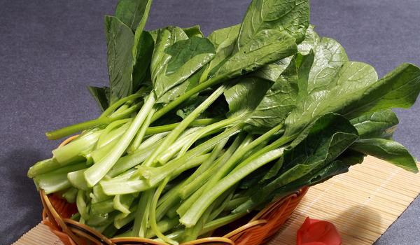 油菜图片大全