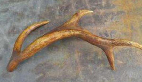 鹿角的功效与作用及禁忌 鹿角的药用价值