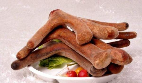 鹿角的功效与作用及禁忌 鹿角的药用价值