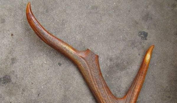 鹿角的功效与作用及禁忌 鹿角的药用价值