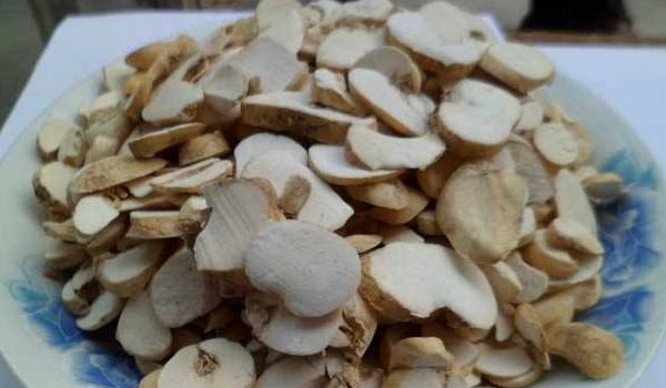 浙贝母功效与作用及禁忌 浙贝母市场价格多少钱一克