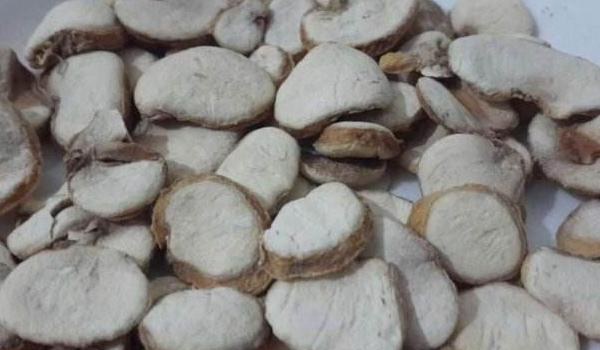 浙贝母功效与作用及禁忌 浙贝母市场价格多少钱一克