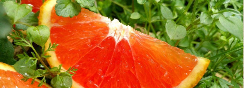 红肉脐橙和血橙区别？