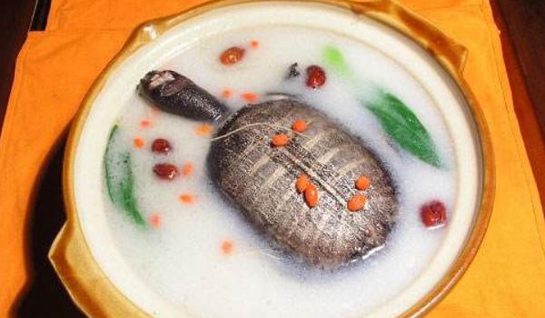 野生甲鱼辨识方法 野生甲鱼的营养价值