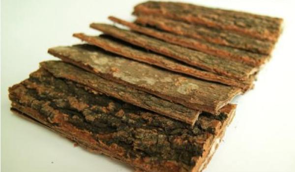 杜仲皮的作用与功效及禁忌  杜仲的挑选多久？