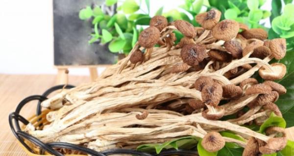 干茶树菇市场价格多少钱一斤 干茶树菇怎么做?