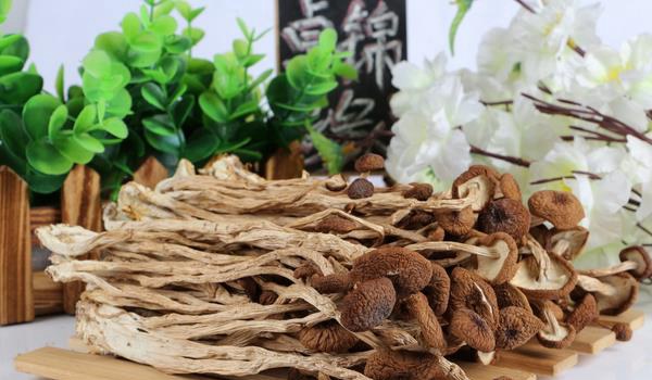 干茶树菇市场价格多少钱一斤 干茶树菇怎么做?