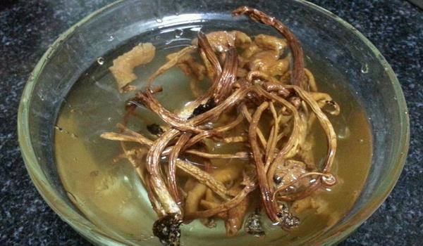 干茶树菇市场价格多少钱一斤 干茶树菇怎么做?