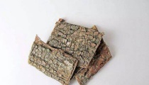 盐杜仲的功效与作用及禁忌（盐杜仲怎么炮制）