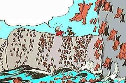 旅鼠集体“自杀”之谜（旅鼠集体跳海的原因）