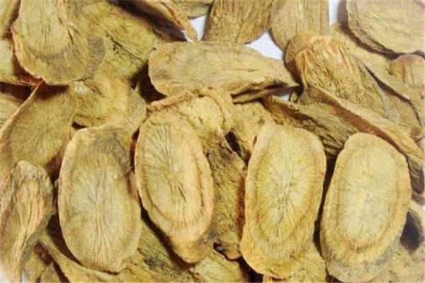牛蒡子的功效与作用 食用禁忌是什么?