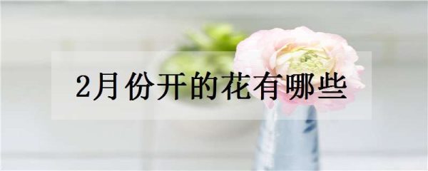 2月份开的花有哪些 什么花二月份开
