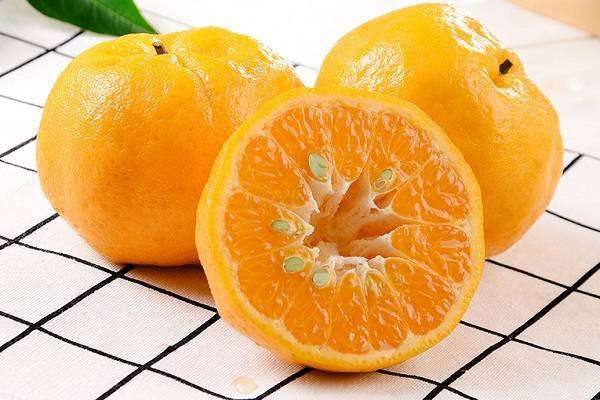 芦柑的功效与作用及营养价值是什么？