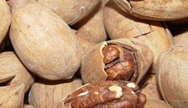 碧根果怎么挑选？碧根果的选购指南