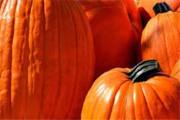 窝瓜和南瓜的区别？ 二者有什么不同