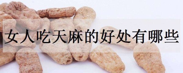 女人吃天麻的好处有哪些？