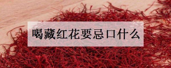 喝藏红花要忌口什么 不能与什么同食