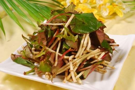鱼腥草种植:春季根茎挖出栽种