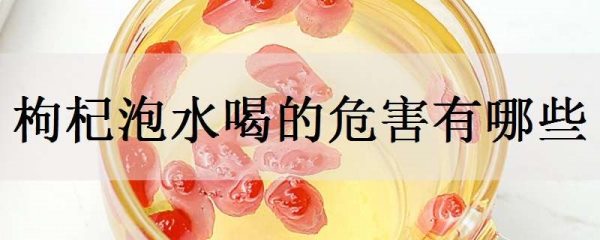 枸杞泡水喝的危害有哪些 怎么喝最好