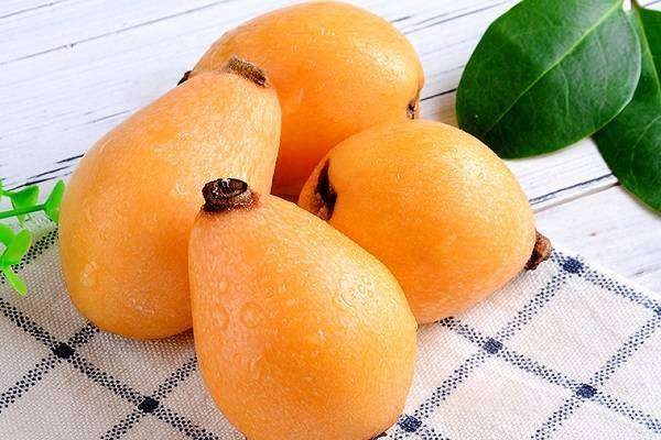 枇杷的功效与作用及营养价值是什么？