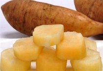 金针菇细菌性斑点病 金针菇细菌性斑点病