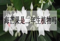 夏种芝麻保全苗的措施