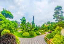 黄粉虫干枯病的发生与防治