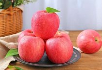 食用菌螨类害虫防治