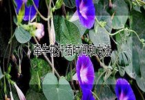传染性鱼病的症状及治疗多久？