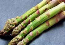 春季病鸽的防治